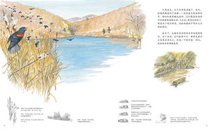 感悟自然系列（精装5册) Sentimental Nature Series (Set of 5)