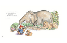 Load image into Gallery viewer, 小熊帕丁顿图画书系列（套装共12册） Paddington Bear Series (Set of 12)
