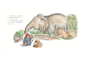 小熊帕丁顿图画书系列（套装共12册） Paddington Bear Series (Set of 12)