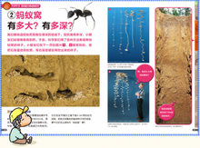 Load image into Gallery viewer, 身边的科学 亲子互动儿童生活大百科（大合集共三册）Science Around Us (Set of 3)
