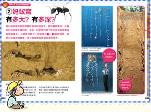 身边的科学 亲子互动儿童生活大百科（大合集共三册）Science Around Us (Set of 3)