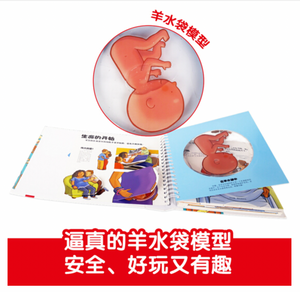 我们的身体(学前儿童生理启蒙必备) Our Body