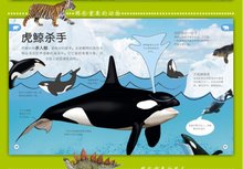 Load image into Gallery viewer, 儿童幼儿认知百科全书科(全3册) My Encyclopedia of Very Important Things/Animals/Dinosaurs (Set of 3)
