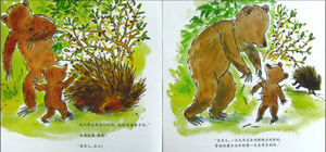 小熊和最好的爸爸(全7册) The Little Bear And The Best Daddy (Set of 7)