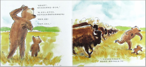 小熊和最好的爸爸(全7册) The Little Bear And The Best Daddy (Set of 7)