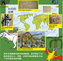 Load image into Gallery viewer, DK幼儿百科全书--那些重要的恐龙My Encyclopedia of Very Important Dinosaurs
