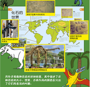 DK幼儿百科全书--那些重要的恐龙My Encyclopedia of Very Important Dinosaurs