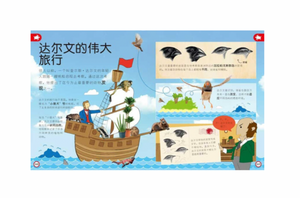 DK幼儿百科全书：那些重要的动物My Encyclopedia of Very Important Animals