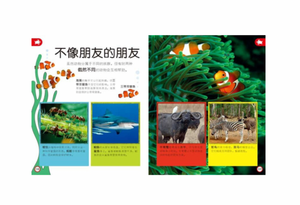 DK幼儿百科全书：那些重要的动物My Encyclopedia of Very Important Animals