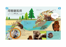 Load image into Gallery viewer, DK幼儿百科全书：那些重要的动物My Encyclopedia of Very Important Animals
