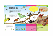 Load image into Gallery viewer, DK幼儿百科全书：那些重要的动物My Encyclopedia of Very Important Animals
