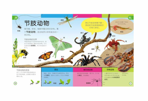 DK幼儿百科全书：那些重要的动物My Encyclopedia of Very Important Animals