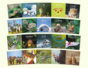 我的第一套自然认知书（第一辑，全20册) My First Set of Nature Books (Series 1, 20 books)