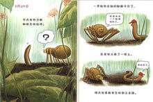 Load image into Gallery viewer, 蚯蚓的日记 Diary Of A Worm

