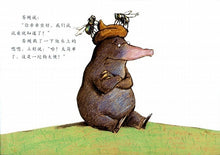 Load image into Gallery viewer, 是谁嗯嗯在我的头上  The Story of the Little Mole Who Went in Search of Whodunit
