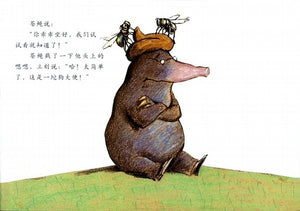 是谁嗯嗯在我的头上  The Story of the Little Mole Who Went in Search of Whodunit