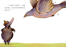 Load image into Gallery viewer, 是谁嗯嗯在我的头上  The Story of the Little Mole Who Went in Search of Whodunit
