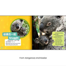 Load image into Gallery viewer, 美国国家地理儿童小百科 中英文双语读物（套装共6册）National Geographic Children&#39;s Encyclopedia, Chinese and English bilingual books (set of 6 volumes)
